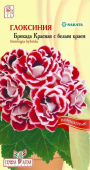 Глоксиния Брокада Красная с бел.краем F1/Сем.Алт/ 5 шт
