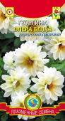 Георгин Опера Белая /Аэлита/ 7 шт