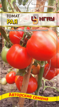Рая /НГАУ/  10 шт