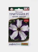 Тритуния F1 синяя звезда /Аэлита/ 7 шт