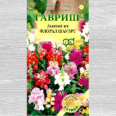 Антирринум (львиный зев) Флорал Шауэрс Биколор вишневый F1 /Гавриш/ 7 шт