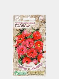 Гелиптерум Голиаф розовый  /Е.С./ 0,1 г Гелиптерум Голиаф розовый  /Е.С./ 0,1 г
