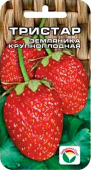 Тристар, клубника /Сиб.Сад/ 10 шт