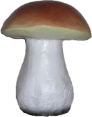 Гриб белый большой Н23см (F006)