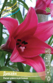 Дивайн (12/14)  1 шт