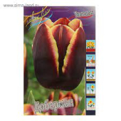 Доберман (11/12) 1 шт