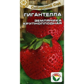 Гигантелла, земляника /Сиб.Сад/ 10 шт