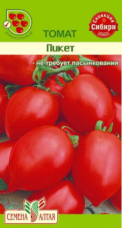 Семена алтая для сибири. Томат пикет семена Алтая. Пикет томат Сибирская селекция. Семена томатов Алтайской селекции. Томаты сибирской селекции.