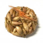 Бамбергер мешок 10-21 /Голландия/ упаковка