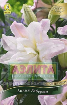 Роберта, махровая (16/18) 2 шт/у