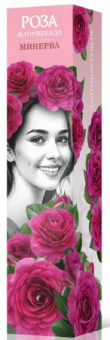 Минерва /флорибунда/