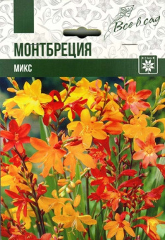 Монтбреция микс (6/+) 10 шт 