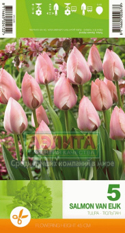 Салмон Ван Эйк (розовый) 10/11 (5 шт/у) /Эконом Ке/
