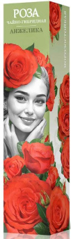 Анжелика /чай.гиб./