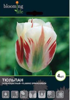 Фрозен Найт (12/+) 5 шт