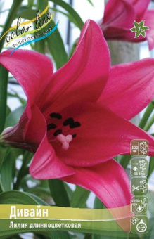 Дивайн (12/14)  5 шт/у