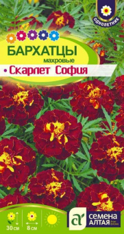 Скарлет София /Сем.Алт./ 0,2 г