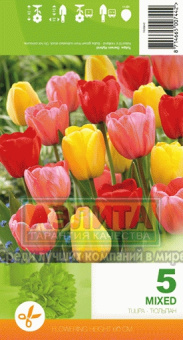 Дарвин Хайбрид Микс 10/11 /Эконом Ке/ (5 шт/у)