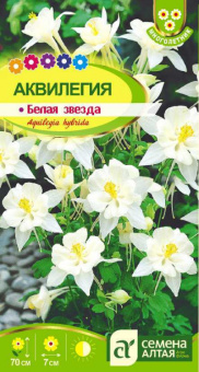 Аквилегия Белая звезда /Сем.Алтая/ 0,1 г
