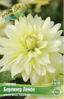 Берлинер Лемон 1 шт/у