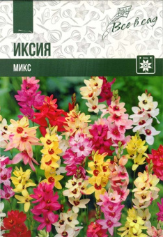Иксия микс (4/+) 10 шт 