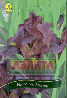 Ирис германский Ред Зингер 2 шт /КЛ/