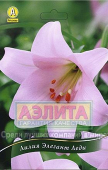 Элегант Леди (св-розовая) 12/14 (2 шт/у) 