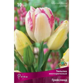 Грейслэнд (12/+) 8 шт/у
