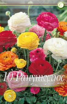 Ранункулюс Микс 5/6 (8 шт/у)