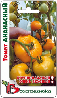 Ананасный  /Биотехника/ 25 шт