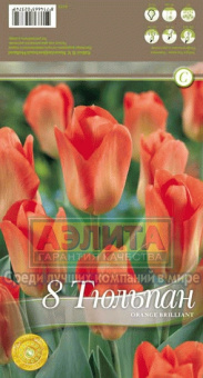 Оранж Бриллиант (оранжевый, ранний) 11/12 (8 шт/у) /КЕ/