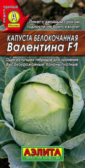 Валентина F1 /Аэлита/ 20 шт.