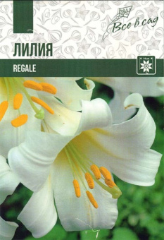 Регале (18/20) 2 шт/у 