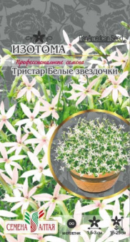 Изотома Тристар Белые звездочки, многол. */Сем.Алтая/ 5 шт