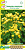 Хризантема Золотые шары низкорослая /ЕС/ 0,1 г