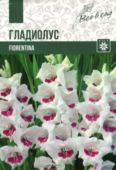 Фиорентина (10/12) 7 шт/у (бел.с бордов.центр)