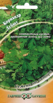 Кориандр Дебют /Гавриш/ 2гр