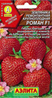 Роман F1, земляника крупнопл.ремонтантная /Аэлита/ 5 шт
