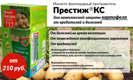 Инсекто-фунгицидный протравитель для обработкиклубней картофеля против грызущих и сосущих вредителей(в т.ч. почвообитающих), а также некоторых болезней.