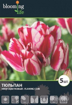 Флеминг Клаб  (12/+) (5 шт/у) 