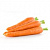 Морковь на ленте