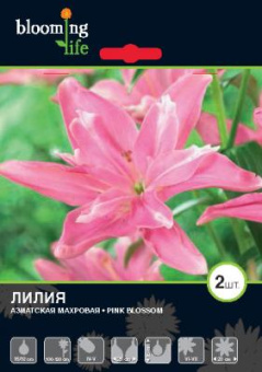 Пинк Блоссом (азиат. махров., розовая) 16/18 (2 шт/у) /Blooming life/