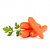 Морковь дражированная
