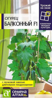 Балконный F1/Сем.Алт./ 5 шт.