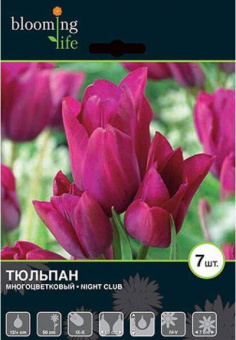 Найт Клаб 12/+ (7шт/у) 