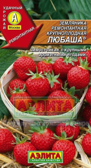 Любаша, земляника /Аэлита/ 10 шт