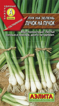 Лук на зелень Лучок на пучок /Аэлита/ 0,5 гр.