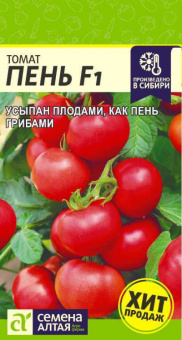 Пень /Сем.Алт/ 5 шт.