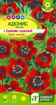Адонис Летний Кроваво-Красный /Сем.Алт./ 0,2 г