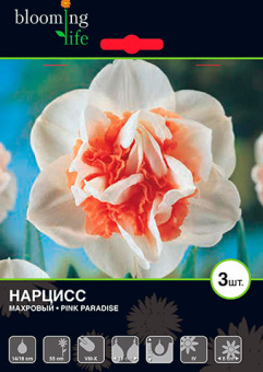 Пинк Передайс (махровый) 14/16  (3 шт/у) 